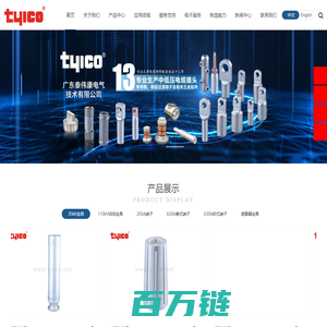 广东泰伟康电气技术有限公司